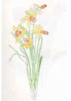 http://www.francesleeceramics.com/files/gimgs/th-28_dwarf daffodil jetfire web.jpg